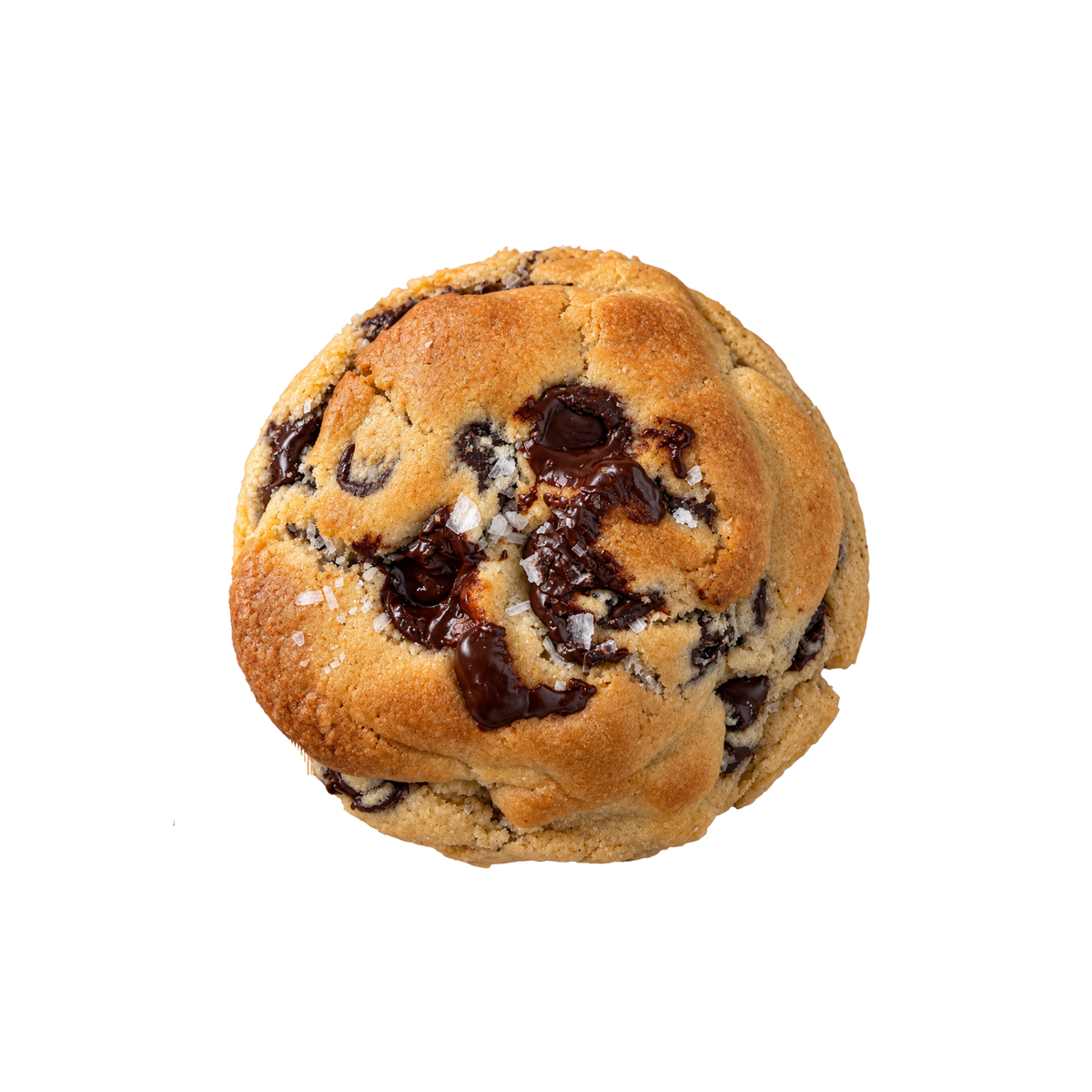 Big Chip Energy (chocolate chip)